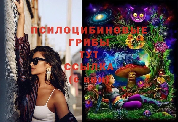 mix Каменка