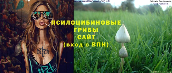 mix Каменка