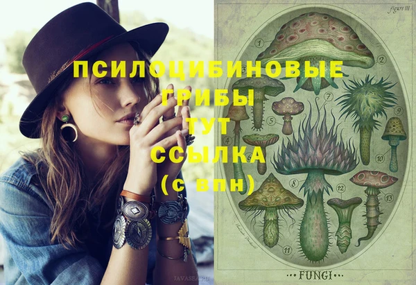 mix Каменка